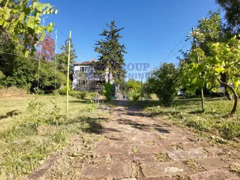 Sale, house, 150m², Ribnjak, Petrovaradin - image 4