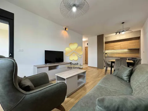 Izdavanje, jednosoban stan, 50m², Podgorica, Crna Gora - image 3