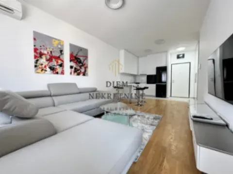 Izdavanje, jednosoban stan, 50m², Stari Aerodrom, Podgorica - image 4