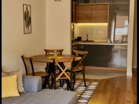 Rent, one bedroom apartment, 43m², Central Point, Podgorica - image 5