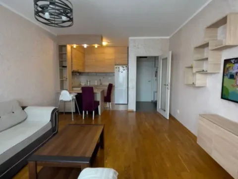 Izdavanje, jednosoban stan, 50m², Ljubović, Podgorica - image 12