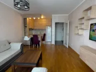 Izdavanje, jednosoban stan, 50m², Ljubović, Podgorica - image 12