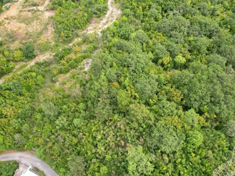 Sale, land lot, 7708m², Markovići, Budva - image 5