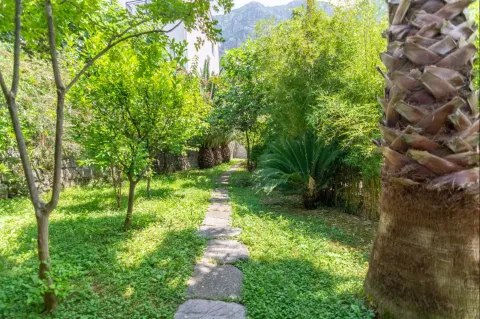 Zeleno dvorište sa stazom od kamena i bujnim rastinjem. - image 19