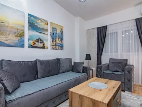 Rent, one bedroom apartment, 45m², Tuški Put, Podgorica - image 3