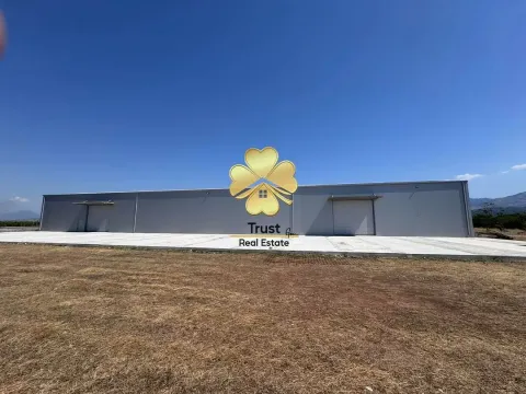 Izdavanje, poslovni prostor, 1000m², Podgorica, Crna Gora - image 4