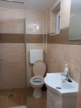 Compact bathroom with a sink, toilet, and walk-in shower. - image 3