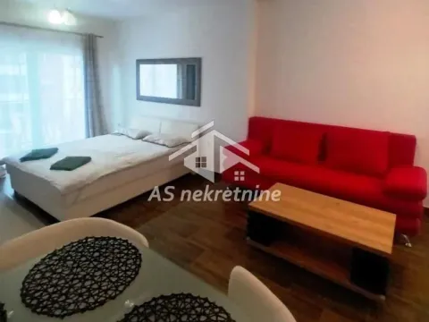 Izdavanje, jednosoban stan, 40m², Čubura, Beograd - image 1