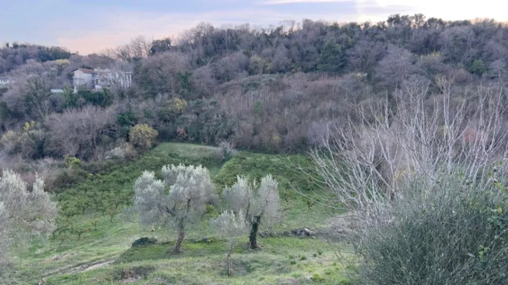 Prodaja, plac, 7000m², Djerane, Ulcinj