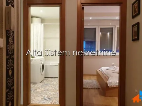 Izdavanje, dvosoban stan, 55m², Vračar Hram, Vračar Sve Podlokacije - image 15