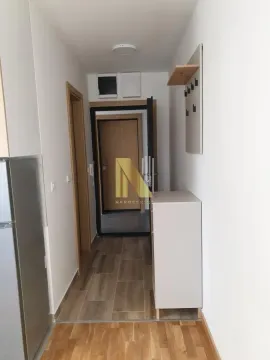 Izdavanje, garsonjera, 25m², Veternik, Novi Sad Sve Podlokacije - image 8