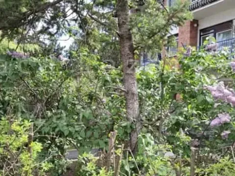 Prodaja, dvosoban stan, 36m², Savski Venac, Beograd - image 17