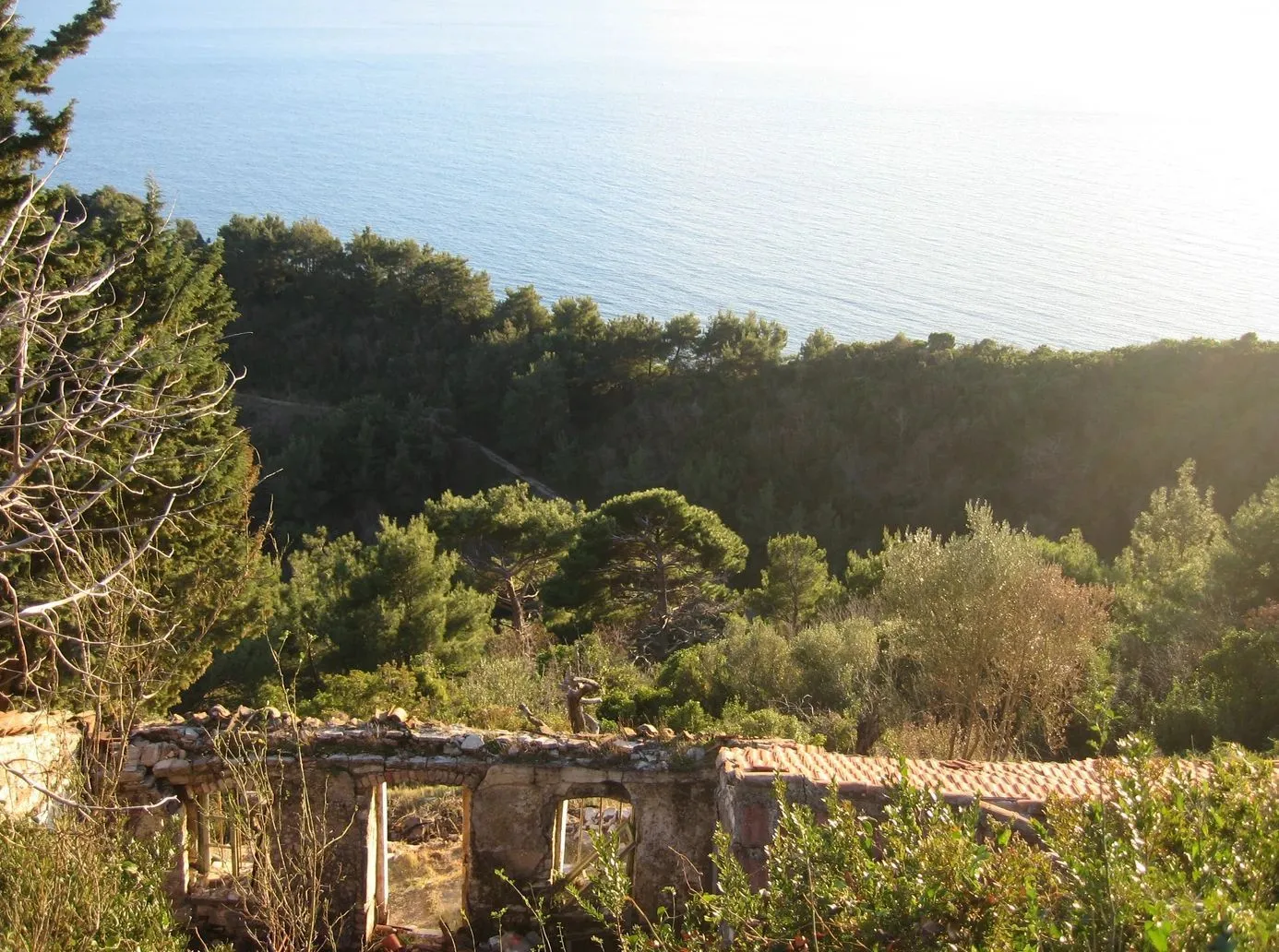 Prodaja, plac, 9500m², Budva, Crna Gora