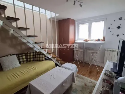 Stan in Profesorska Kolonija