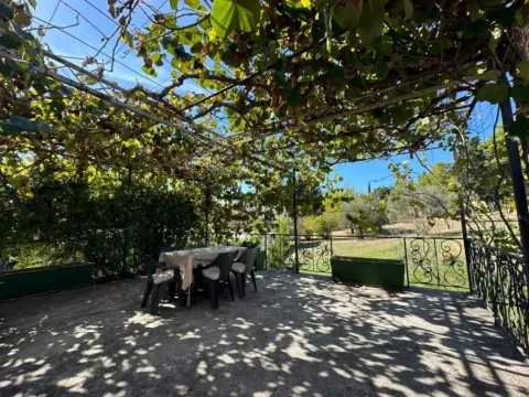 Covered terrace with a dining table and overhead greenery. - image 12