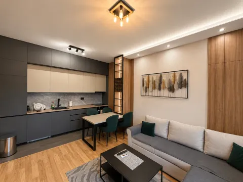 Prodaja, jednosoban stan, 40m², Zagorič, Podgorica - image 3