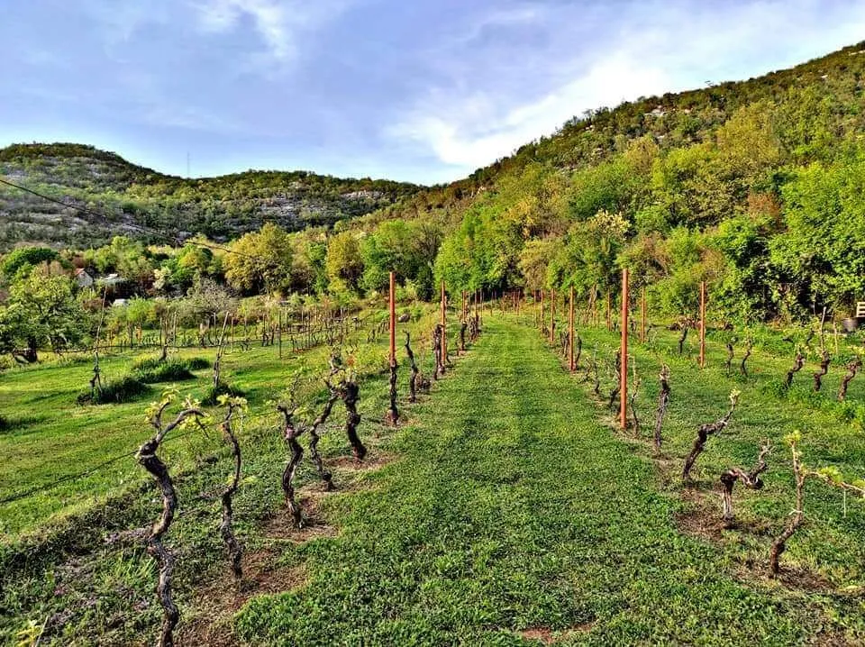 Prodaja, kuća, 200m², Drušići, Cetinje