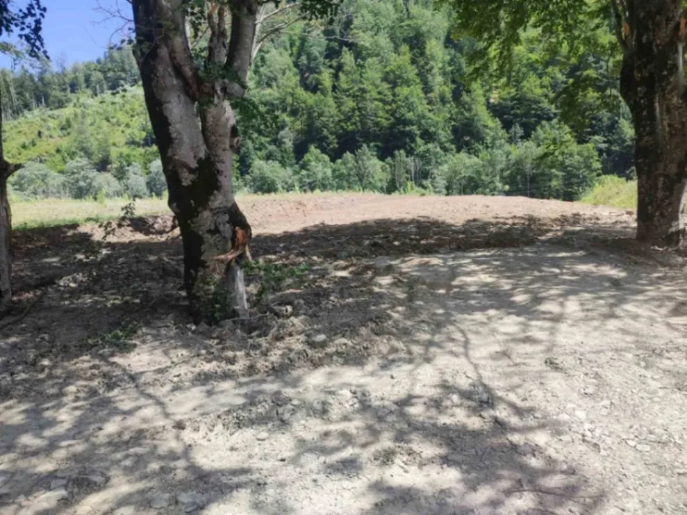 Prodaja, plac, 1660m², Jabuka, Kolašin