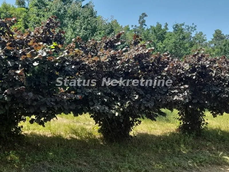 Sale, house, 30m², Beočin, Srbija