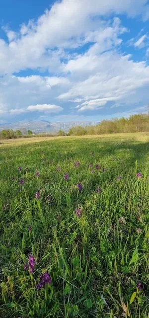Prodaja, plac, 5554m², Jastreb, Danilovgrad