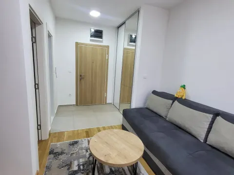 Izdavanje, jednosoban stan, 35m², Stara Varoš, Podgorica - image 5