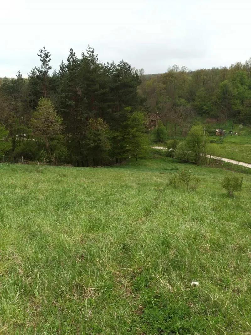 Prodaja, plac, 4700m², Babe, Sopot