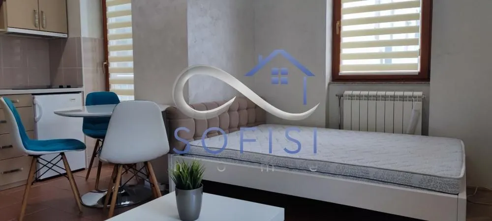 Izdavanje, stan, 31m², Bulevar Oslobodjenja, Novi Sad Sve Podlokacije
