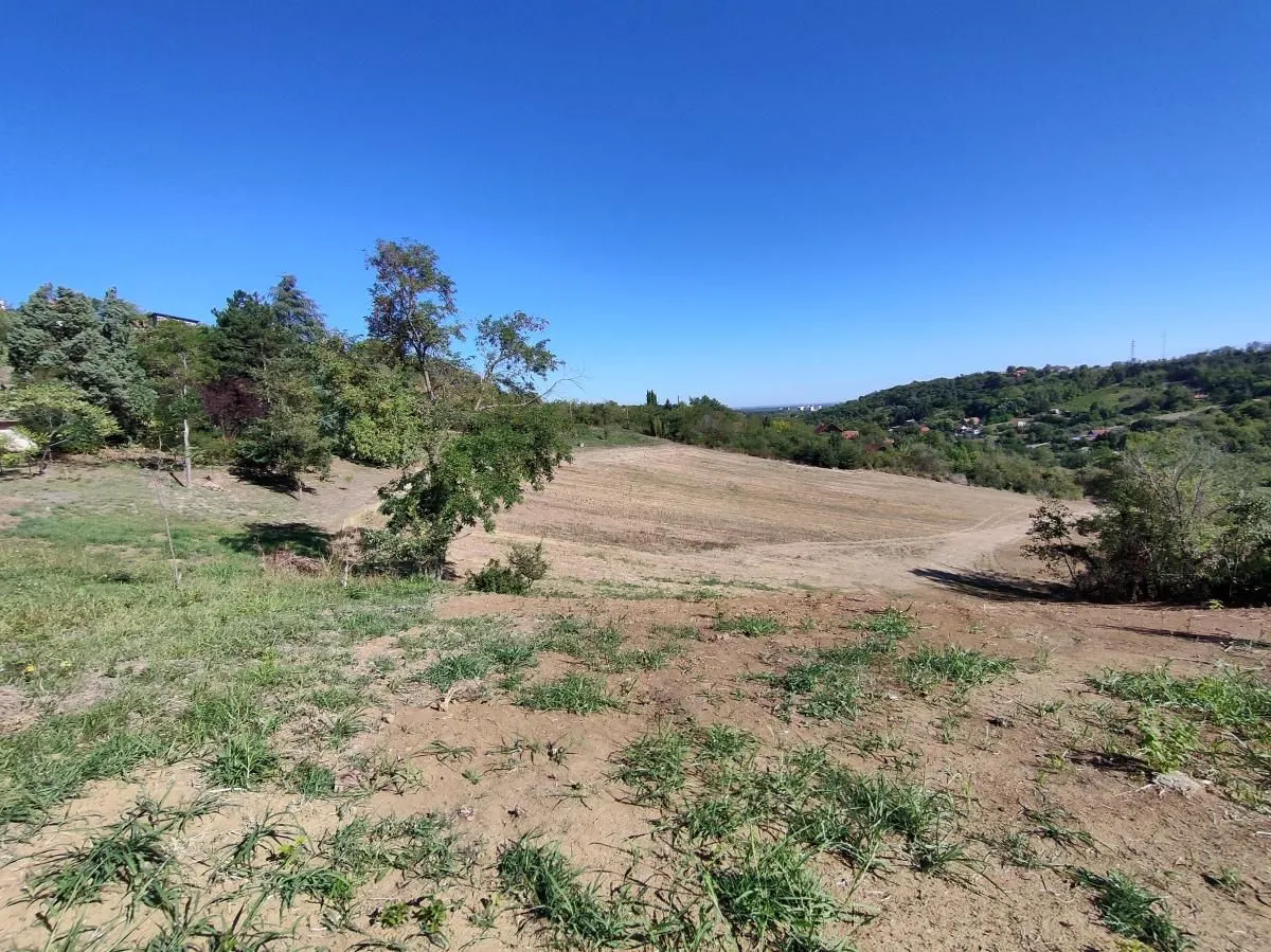 Prodaja, plac, 700m², Sremska Kamenica, Petrovaradin