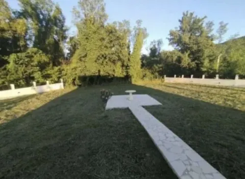 Grassy yard with a pathway and low vegetation. - image 8