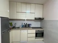 Izdavanje, jednosoban stan, 50m², Central Point, Podgorica - image 1