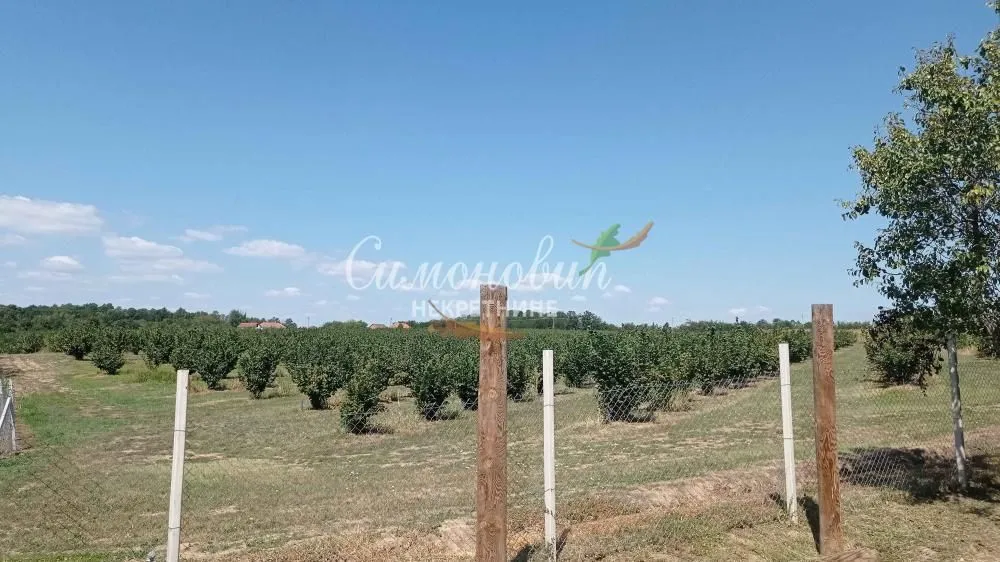 Prodaja, plac, 63000m², Centar, Ub