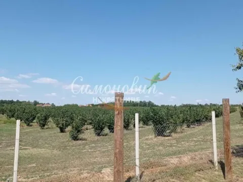 Sale, land lot, 63000m², Centar, Ub - image 12