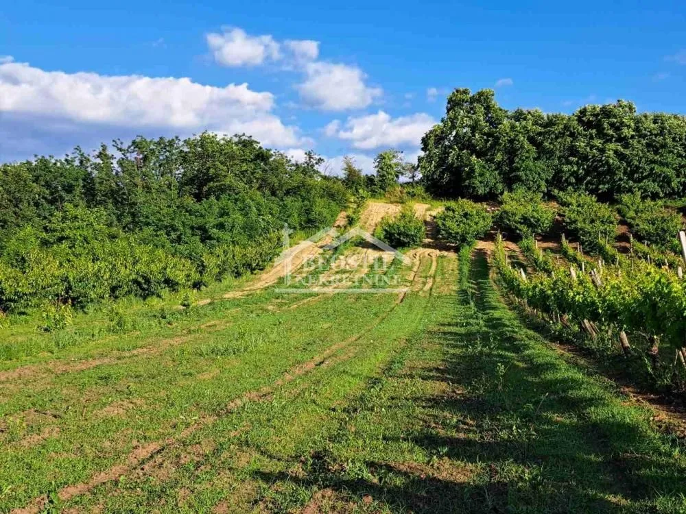 Prodaja, plac, 9563m², Grocka, Beograd