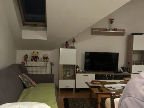 Sale, two bedroom apartment, 45m², Podbara, Novi Sad Sve Podlokacije - image 1