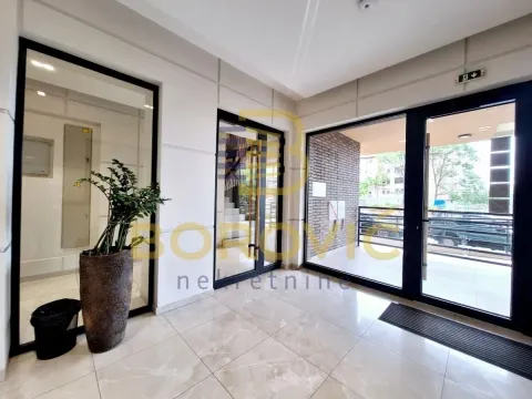 Izdavanje, dvosoban stan, 44m², Vračar Sve Podlokacije, Beograd - image 15