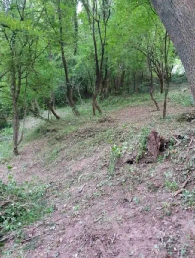 Prodaja, plac, 8500m², Frutak, Danilovgrad