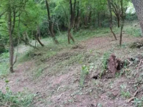 Sale, land lot, 8500m², Frutak, Danilovgrad - image 4