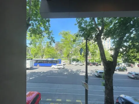 Izdavanje, poslovni prostor, 94m², Vračar Hram, Vračar Sve Podlokacije - image 4