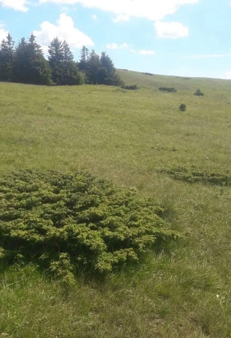 Prodaja, plac, 8247m², Bijelo Polje, Crna Gora