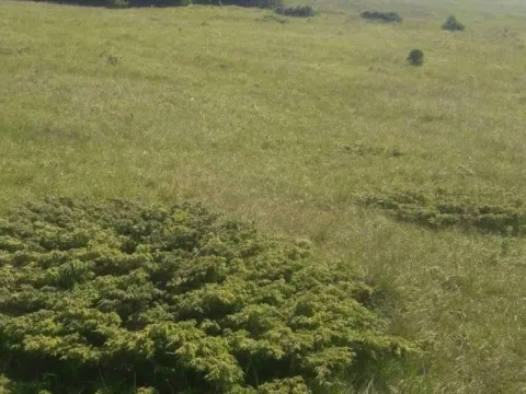 Prodaja, plac, 8247m², Bijelo Polje, Crna Gora - image 2