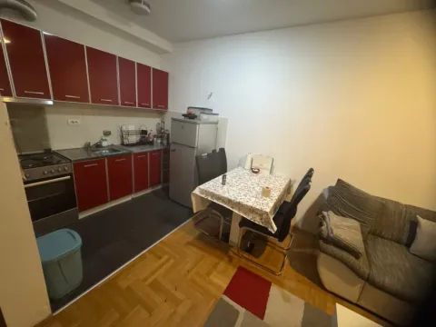 Izdavanje, jednosoban stan, 45m², Stari Aerodrom, Podgorica - image 3