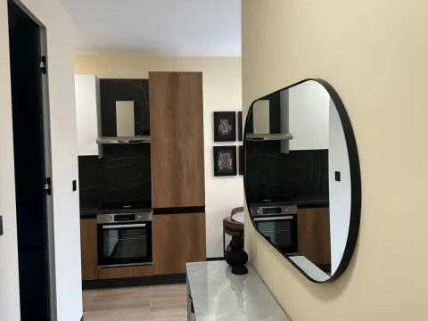 Rent, one bedroom apartment, 43m², Zagorič, Podgorica - image 2