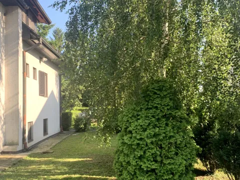 Izdavanje, kuća, 300m², Čukarica, Beograd - image 3