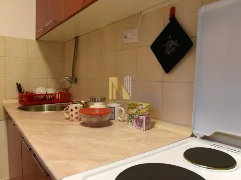 Izdavanje, dvosoban stan, 49m², Betanija, Novi Sad Sve Podlokacije - image 3