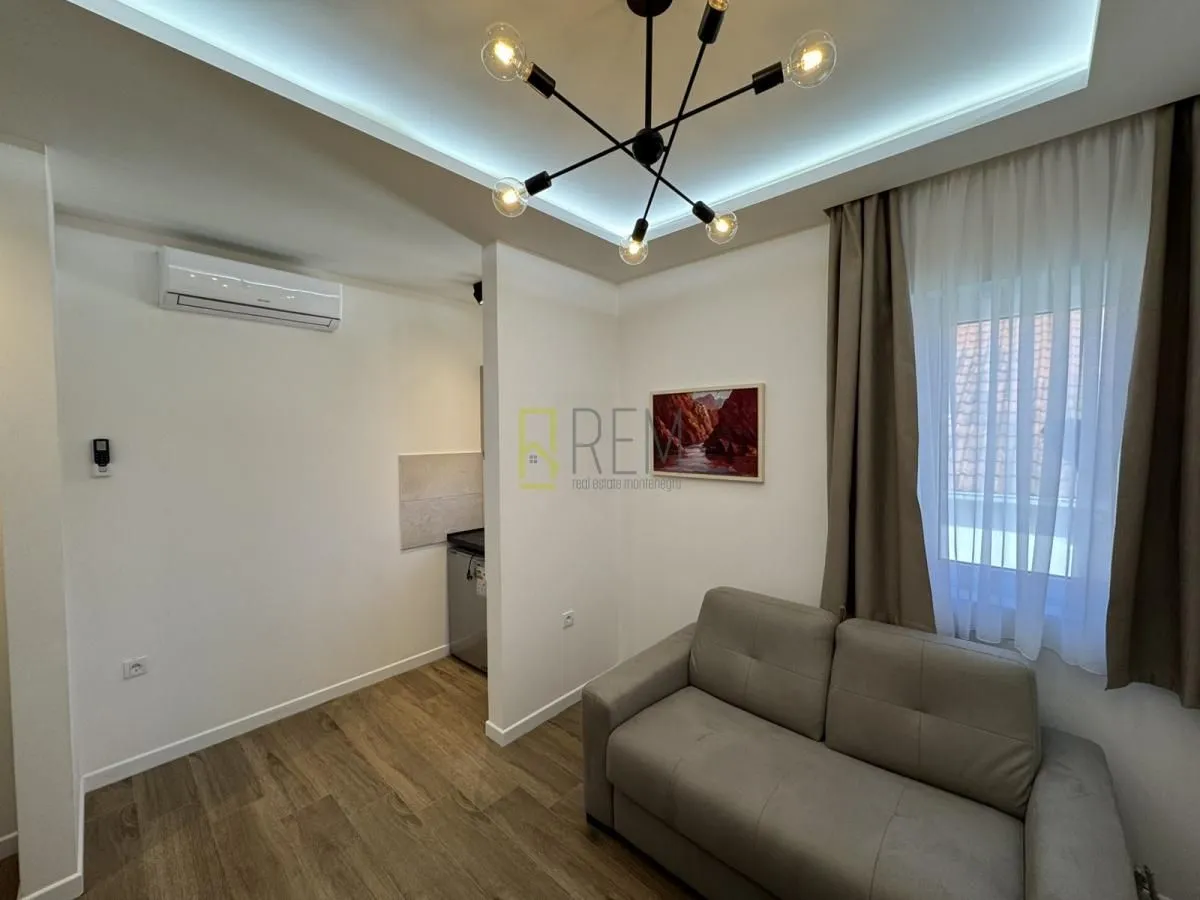 Rent, house, 250m², Gornja Gorica, Podgorica
