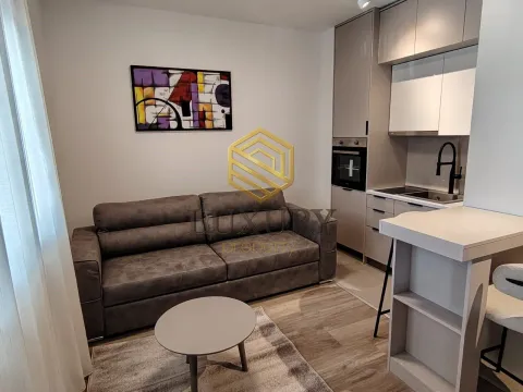 Rent, studio apartment, 21m², Zabjelo, Podgorica - image 1