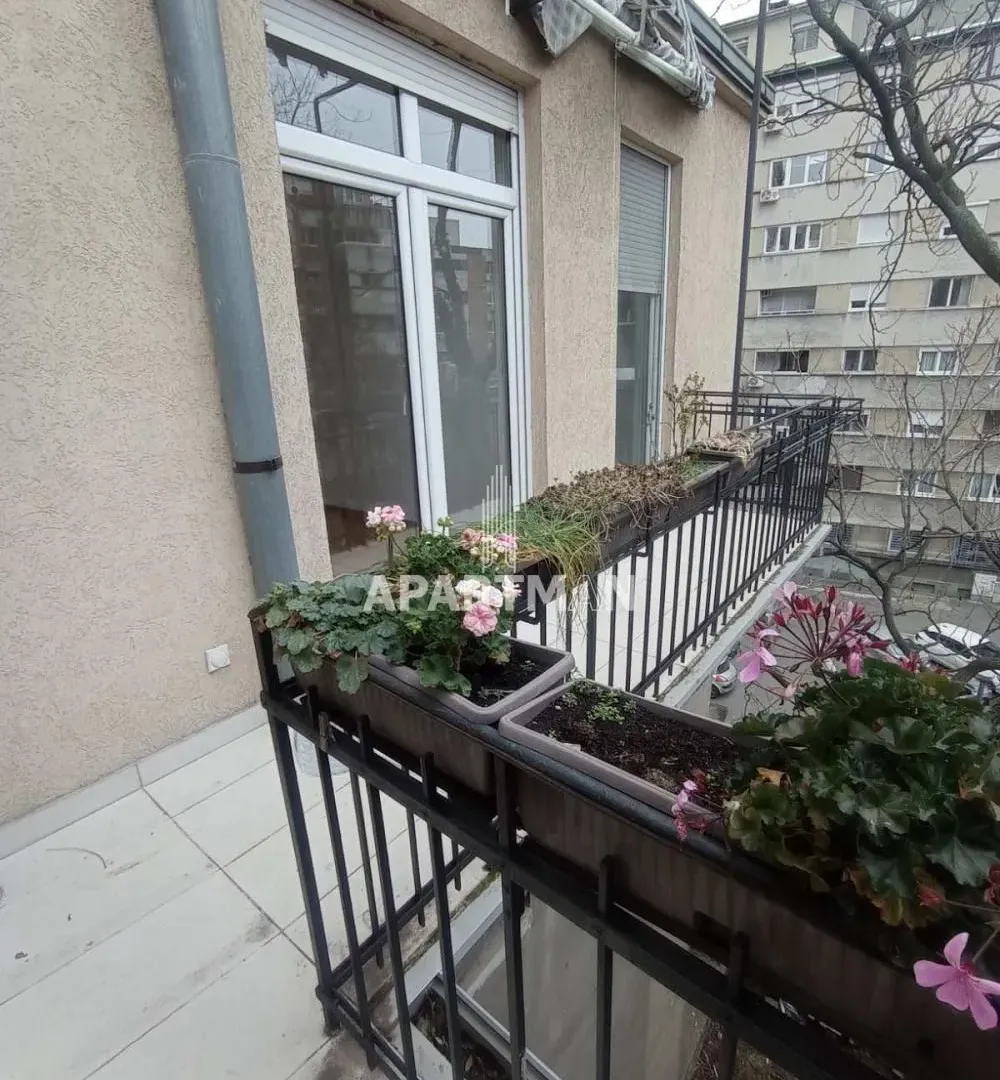 Izdavanje, dvosoban stan, 78m², Botanička Bašta, Palilula Sve Podlokacije