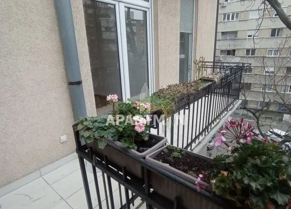 Izdavanje, dvosoban stan, 78m², Botanička Bašta, Palilula Sve Podlokacije