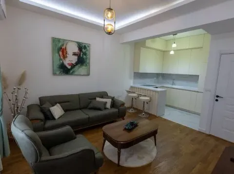 Rent, one bedroom apartment, 48m², Zabjelo, Podgorica - image 3