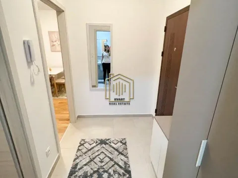 Izdavanje, jednosoban stan, 51m², Ljubović, Podgorica - image 11